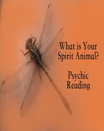 What is Your Animal Spirit?