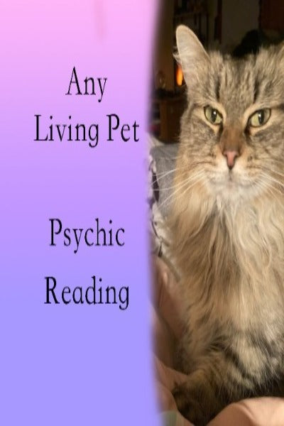 Living Pet