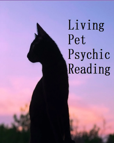 Living Pet