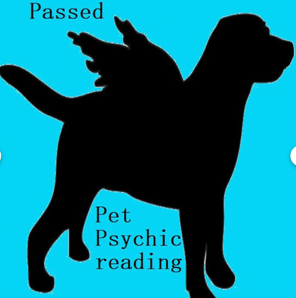 Passed Pet Psychic Reading